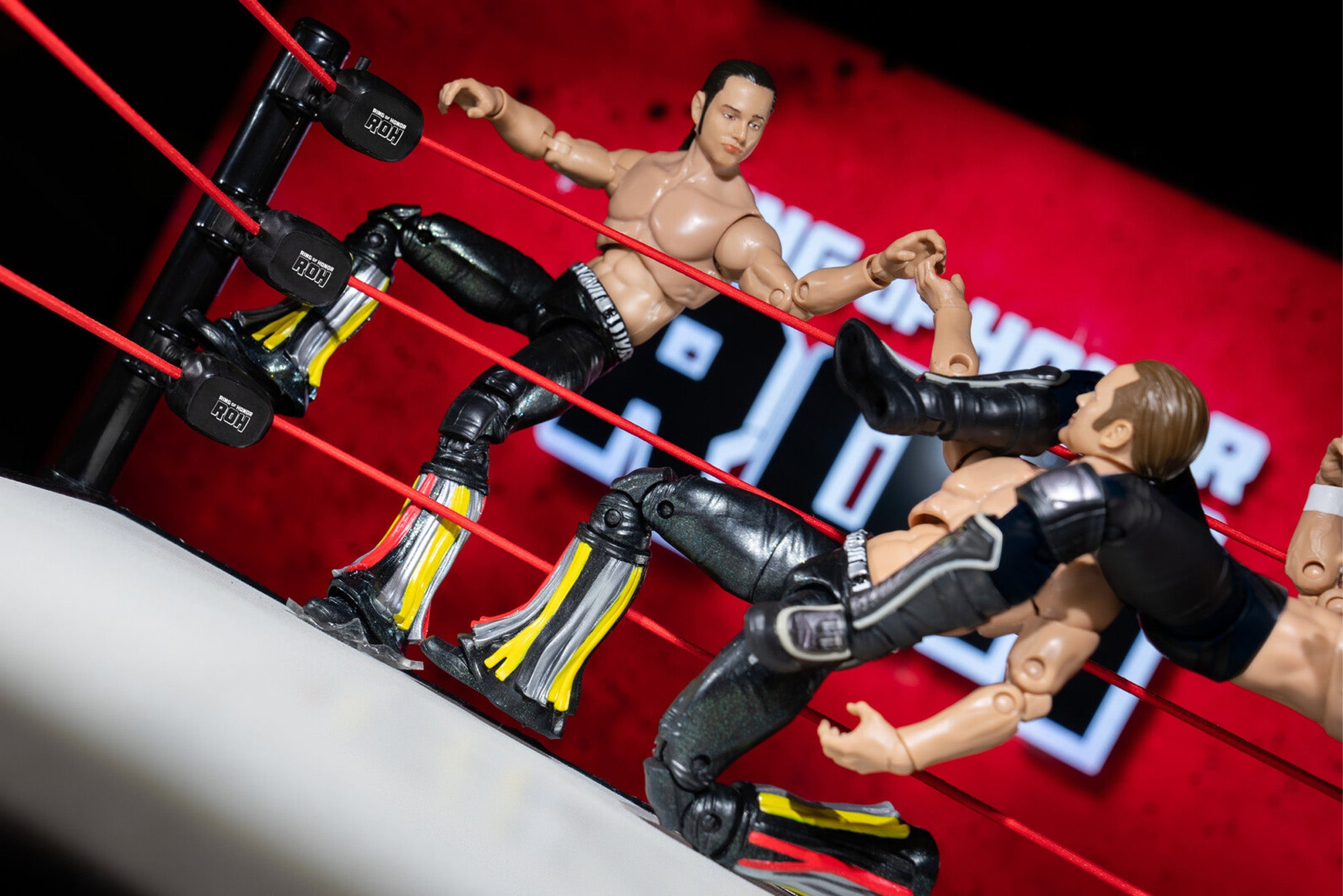 Ring of Honor The Young Bucks - Image 8