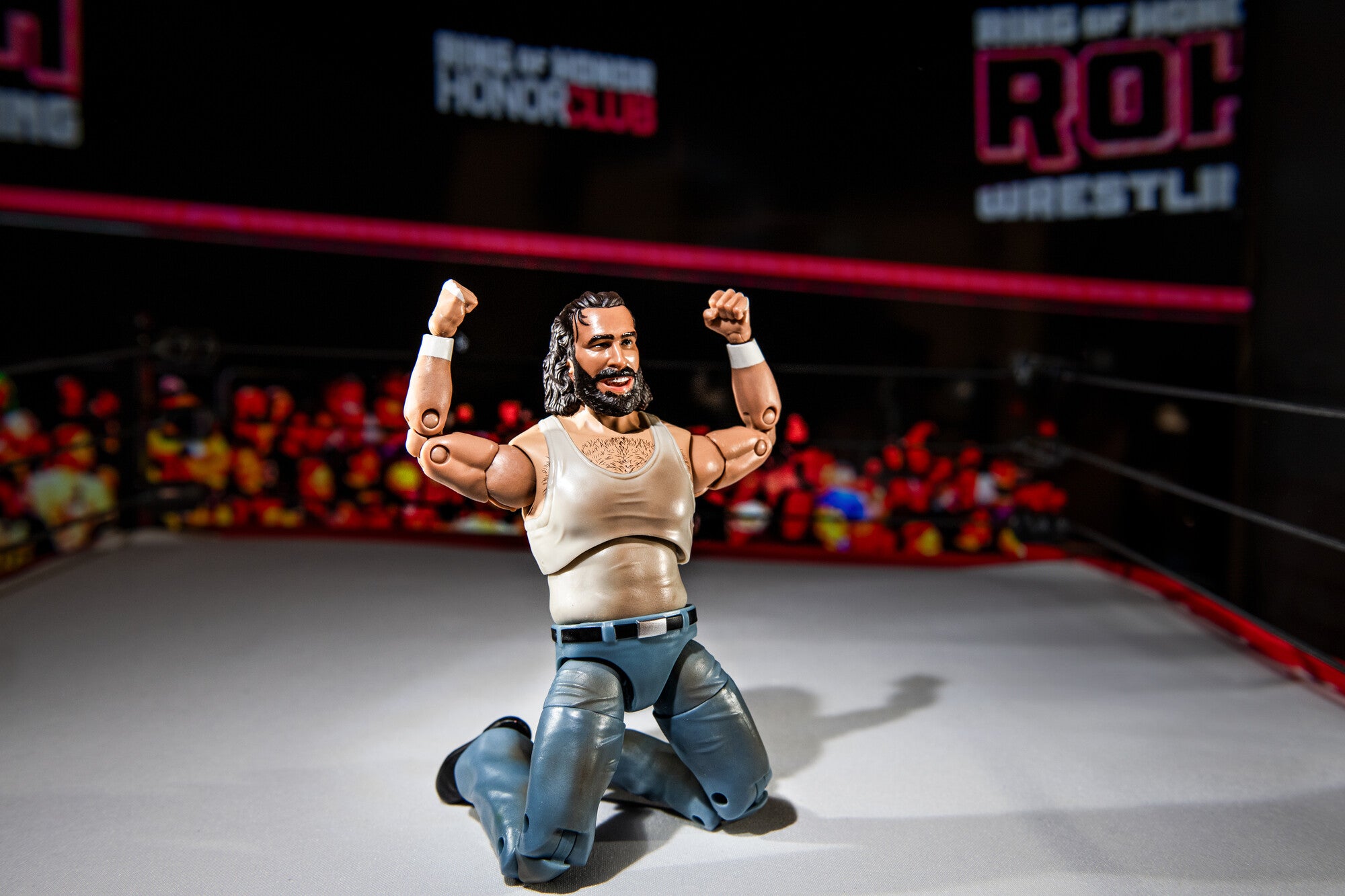 Ring of Honor Brodie Lee - Image 6
