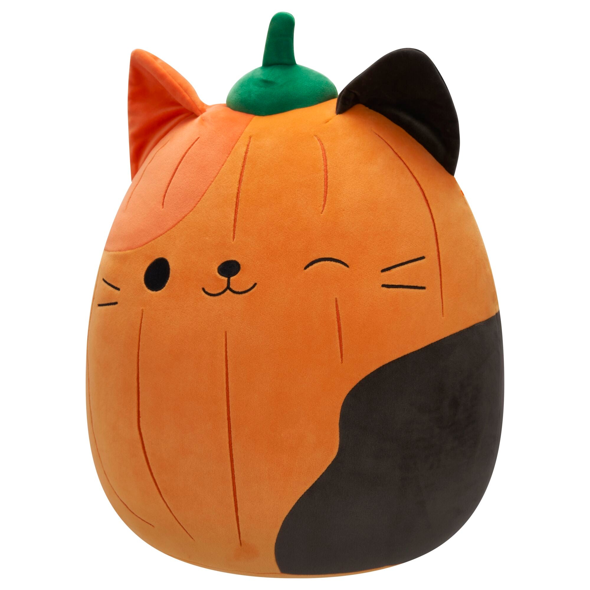Pumpkin Cam - Image 3