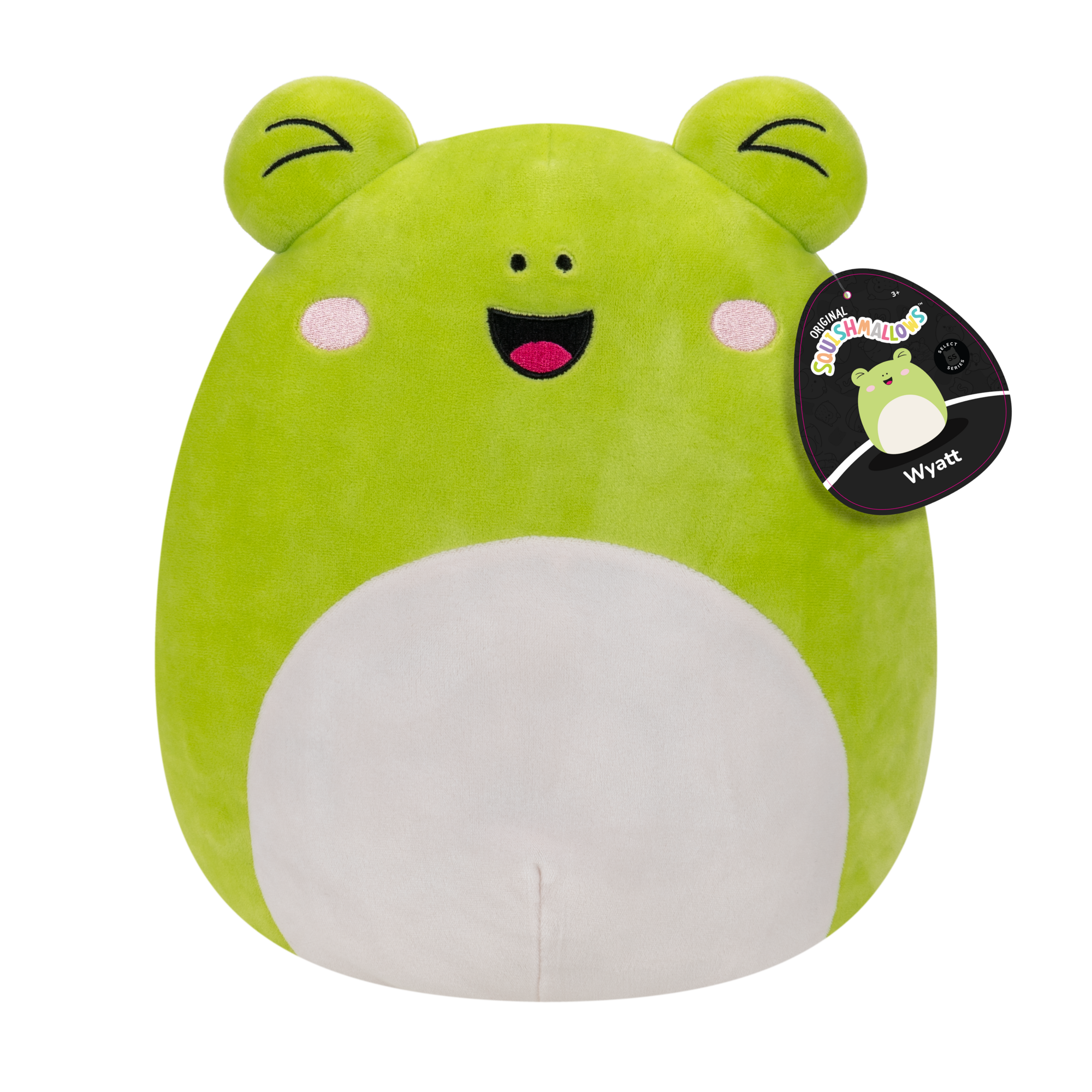 12-Inch Select Series: Wyatt the Frog - Image 5